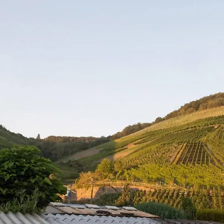 Wohlfuhlloft Mit Blick Aufs Zeltinger Himmelreich Apartment